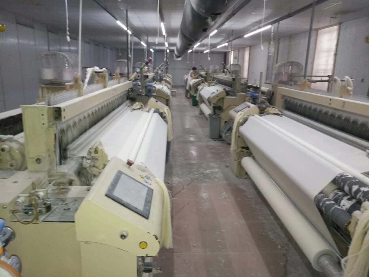 �_��Չ��C�͑��F��