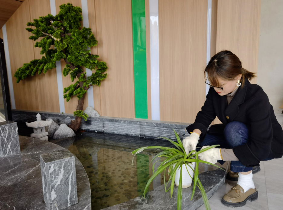 �_���ܿՉ��C���������࿂�v�S�k��